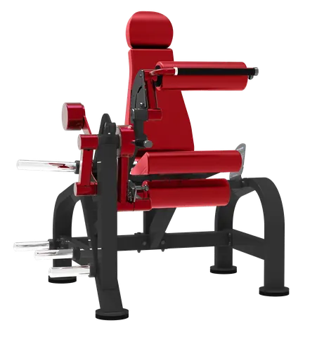 Flexor Sentado